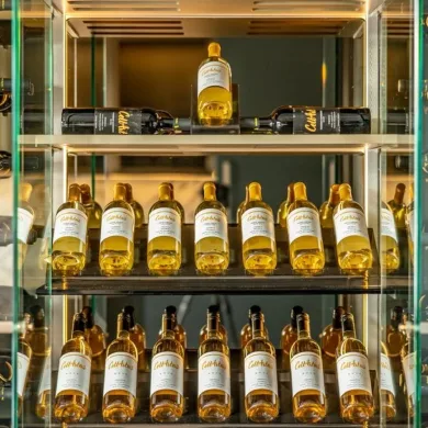 foto-3-update_cellartus-showroom8